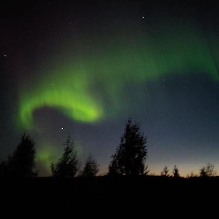 Lapland Forest Lodge Ροβανιέμι Εξωτερικό φωτογραφία